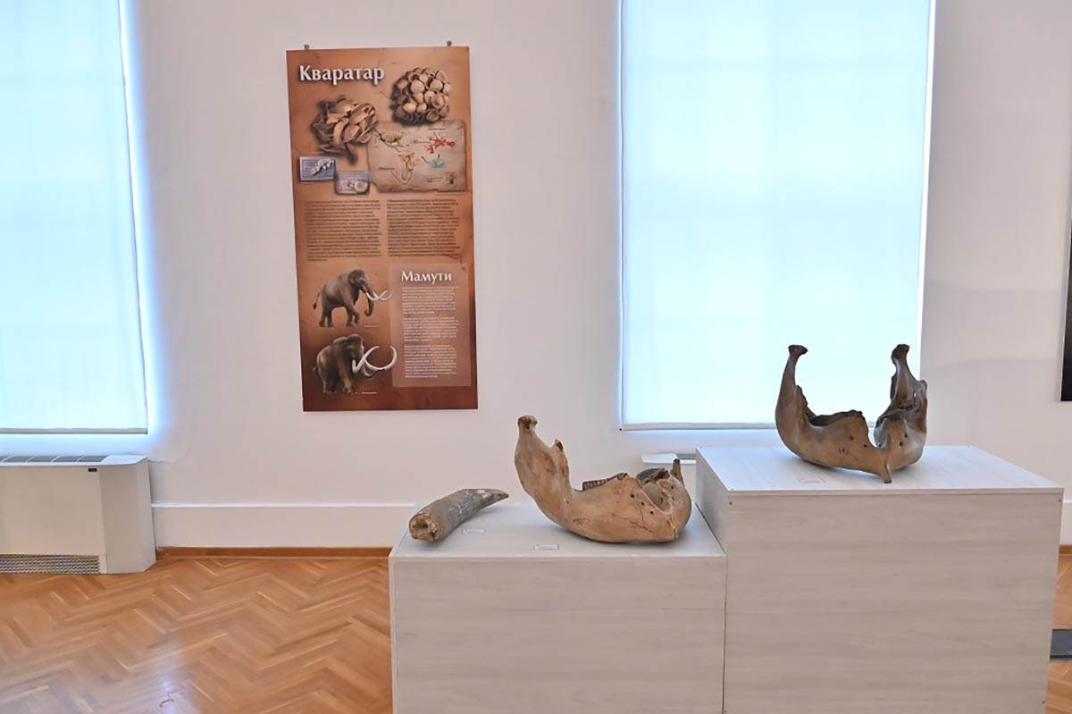 Фосили као одрази прошлости фото _Борислав Крљић_ copy.jpg