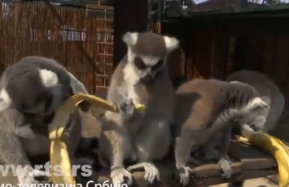 Screenshot 2024-07-18 172130.jpg