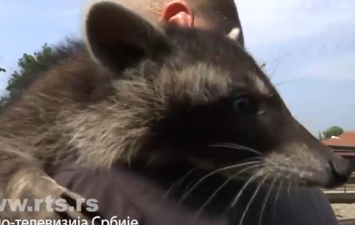 Screenshot 2024-07-18 172055.jpg