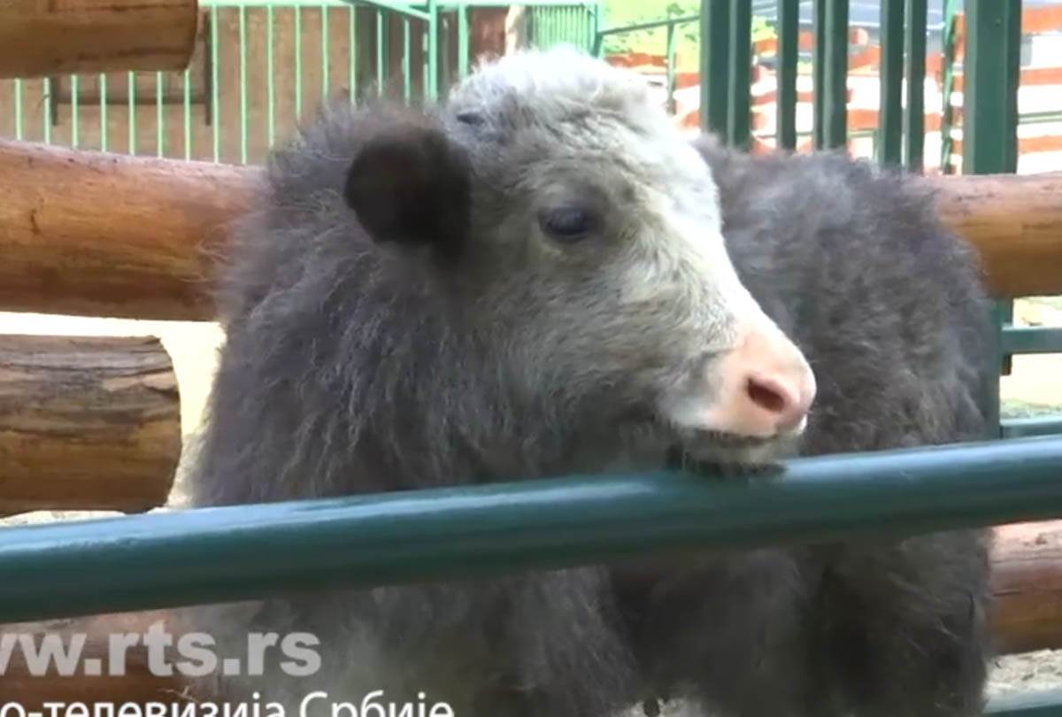 Screenshot 2024-07-18 172050.jpg