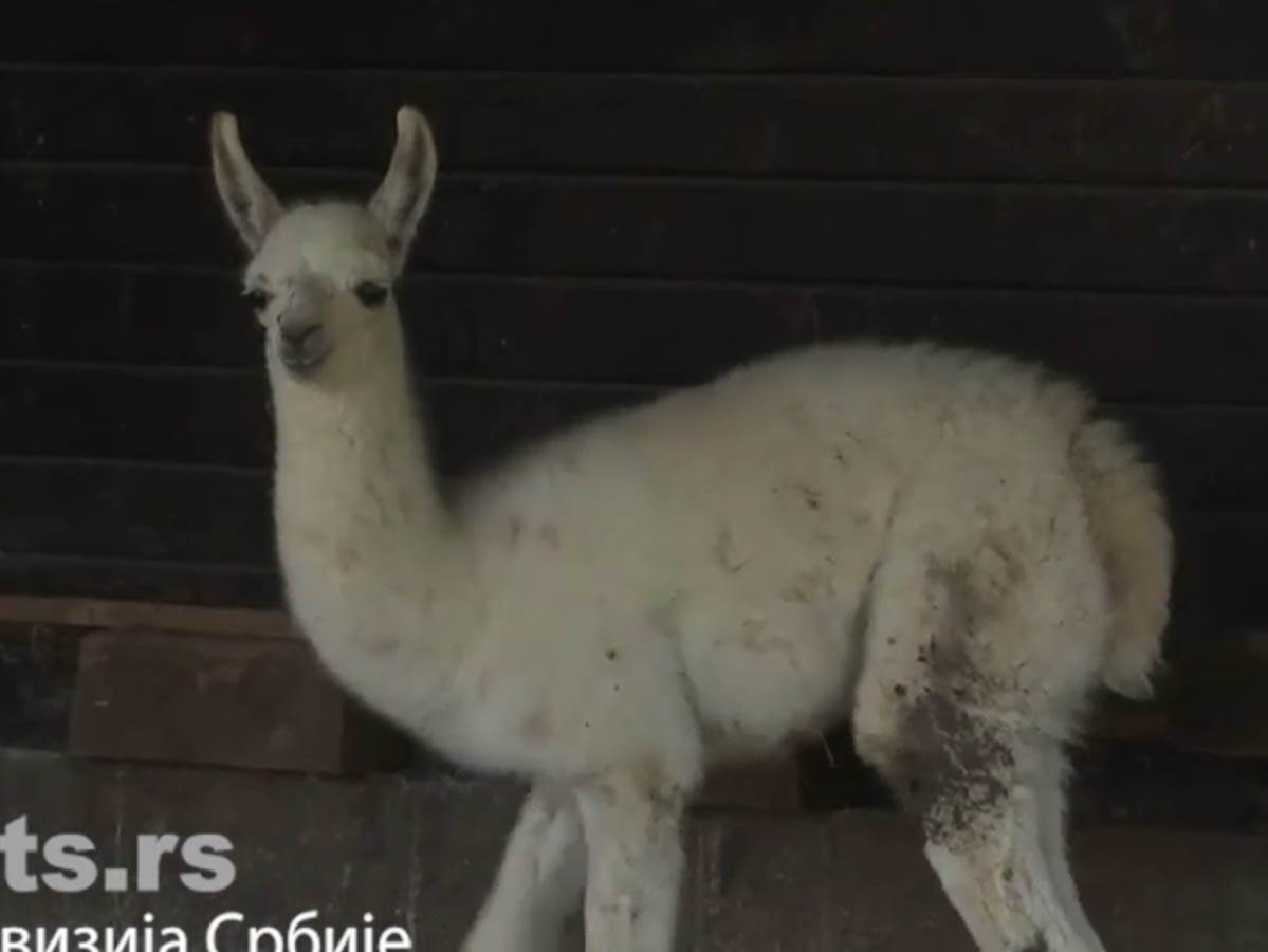 Screenshot 2024-07-18 172046.jpg