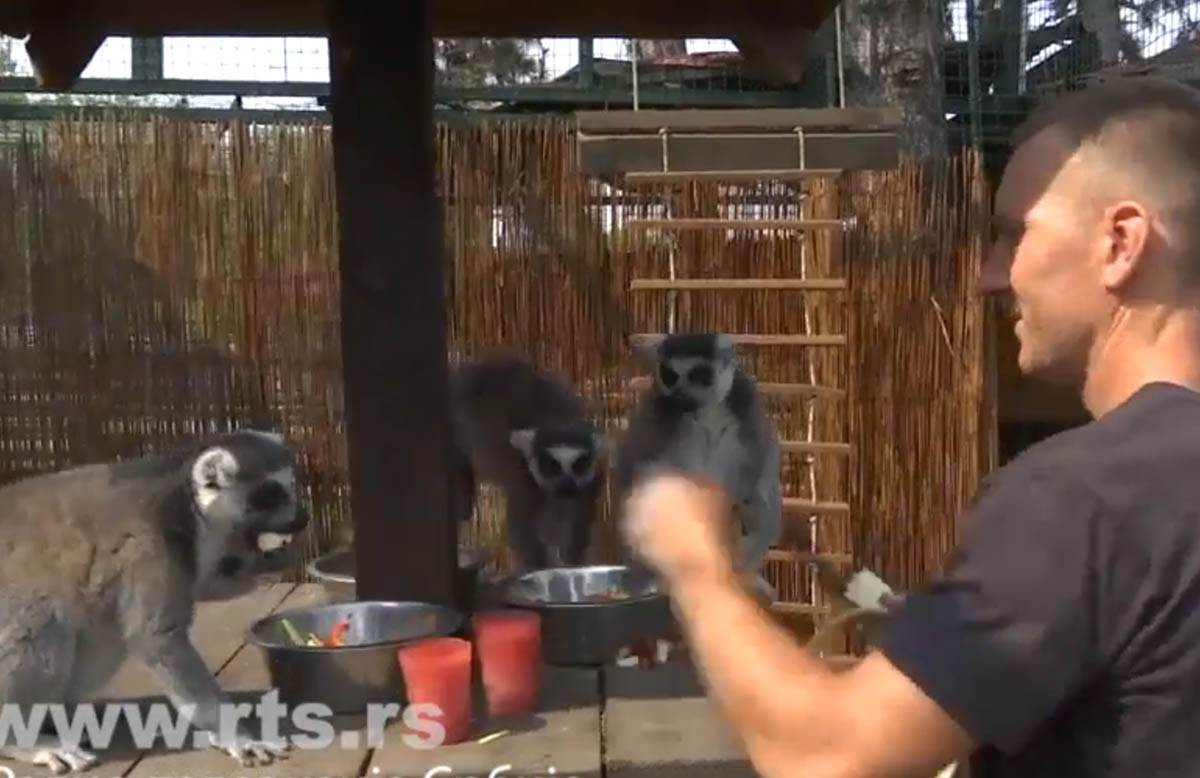 Screenshot 2024-07-18 172041.jpg