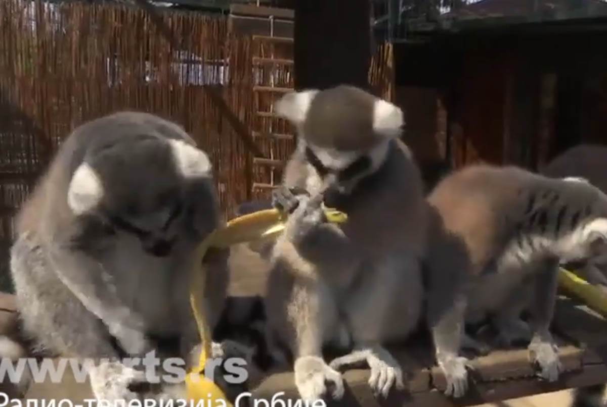 Screenshot 2024-07-18 172036.jpg