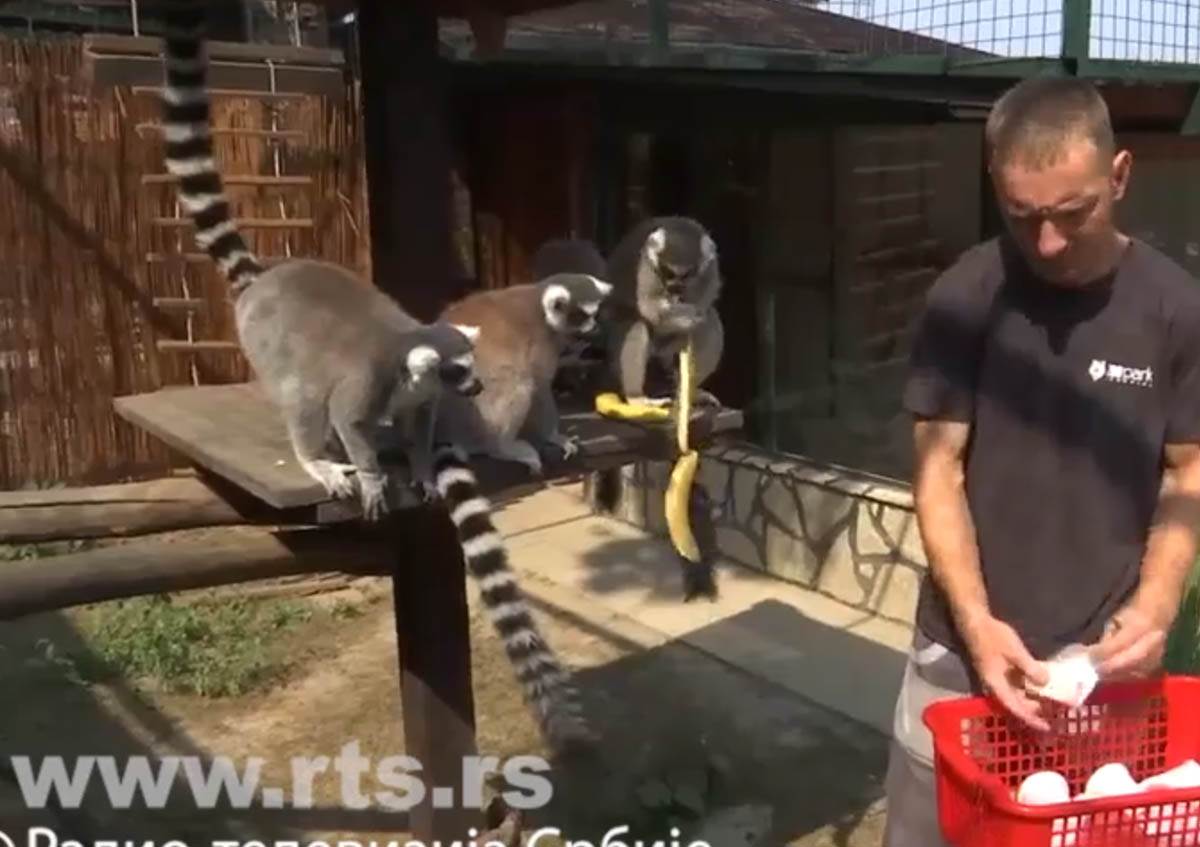 Screenshot 2024-07-18 172031.jpg