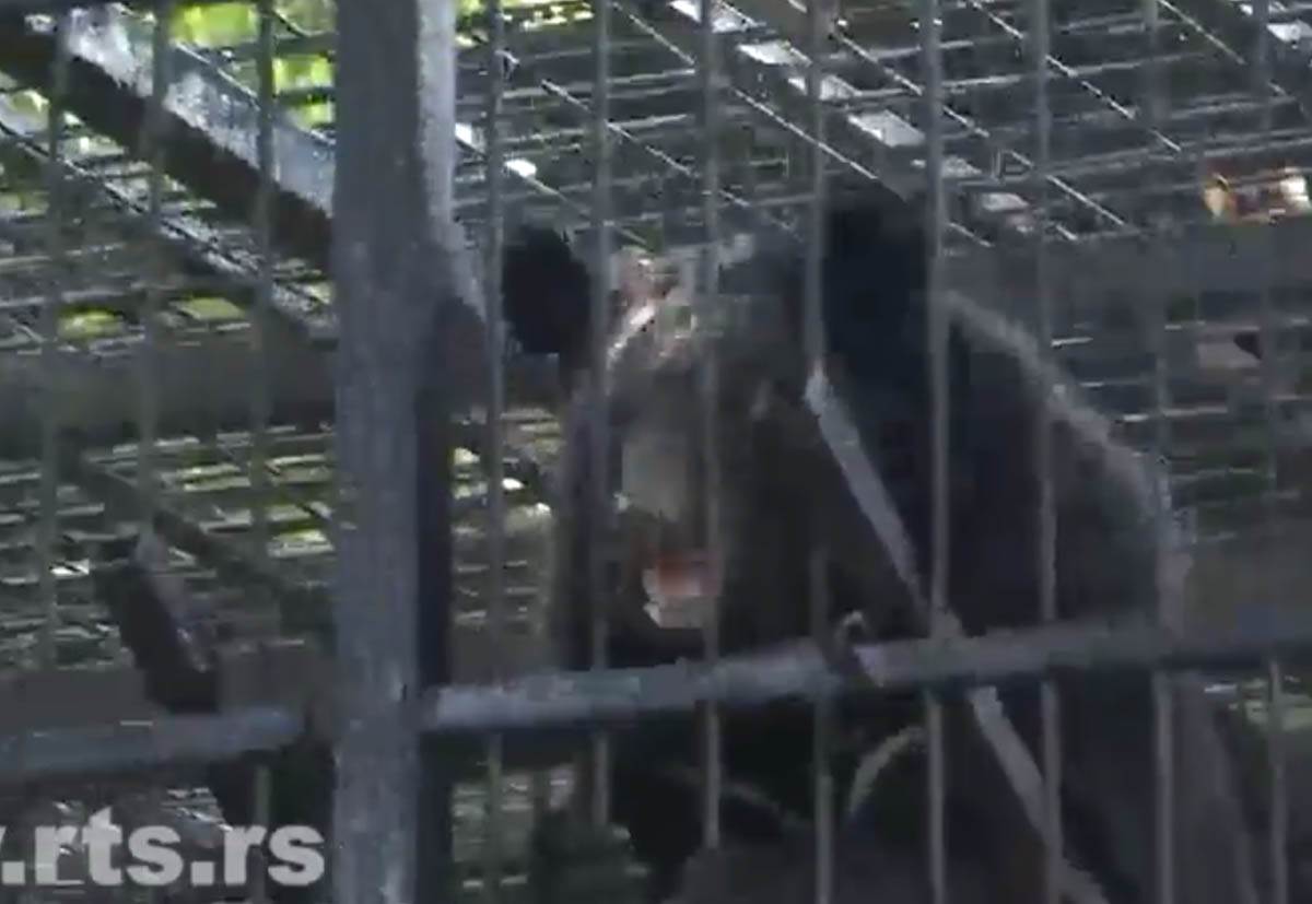 Screenshot 2024-07-18 172025.jpg