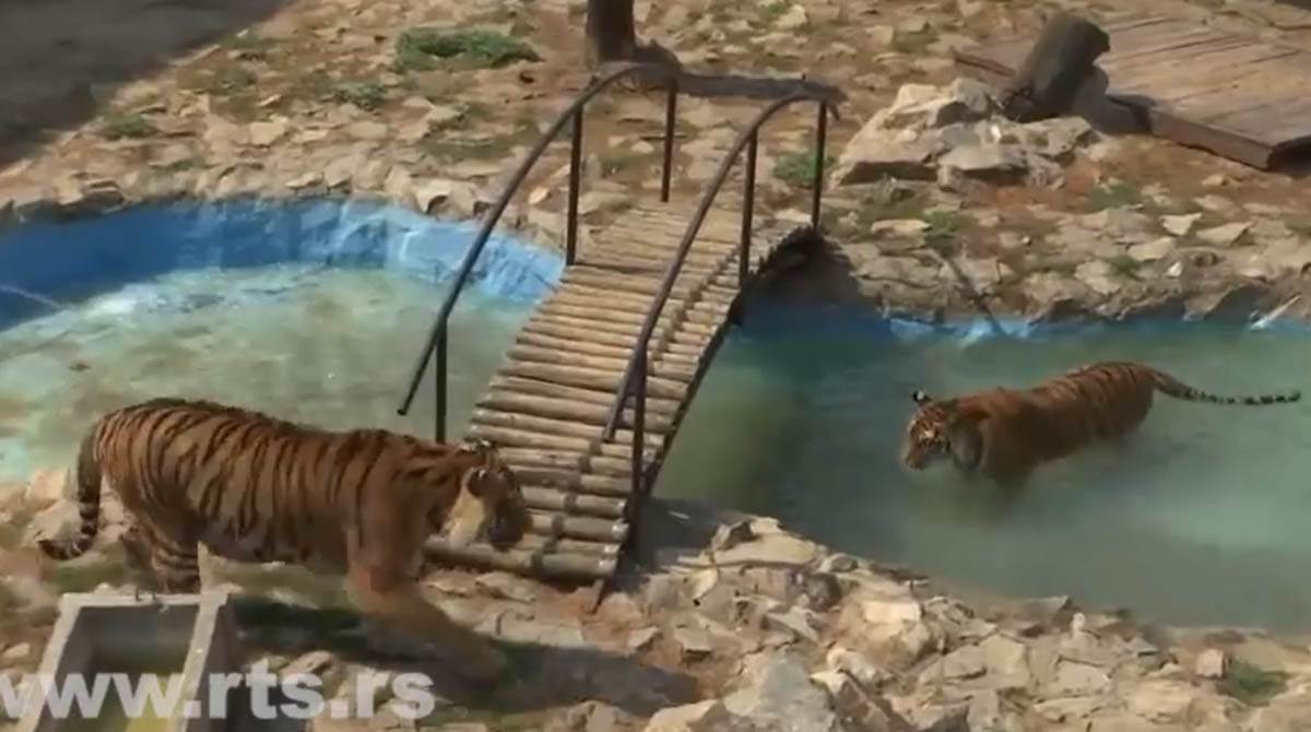 Screenshot 2024-07-18 172005.jpg