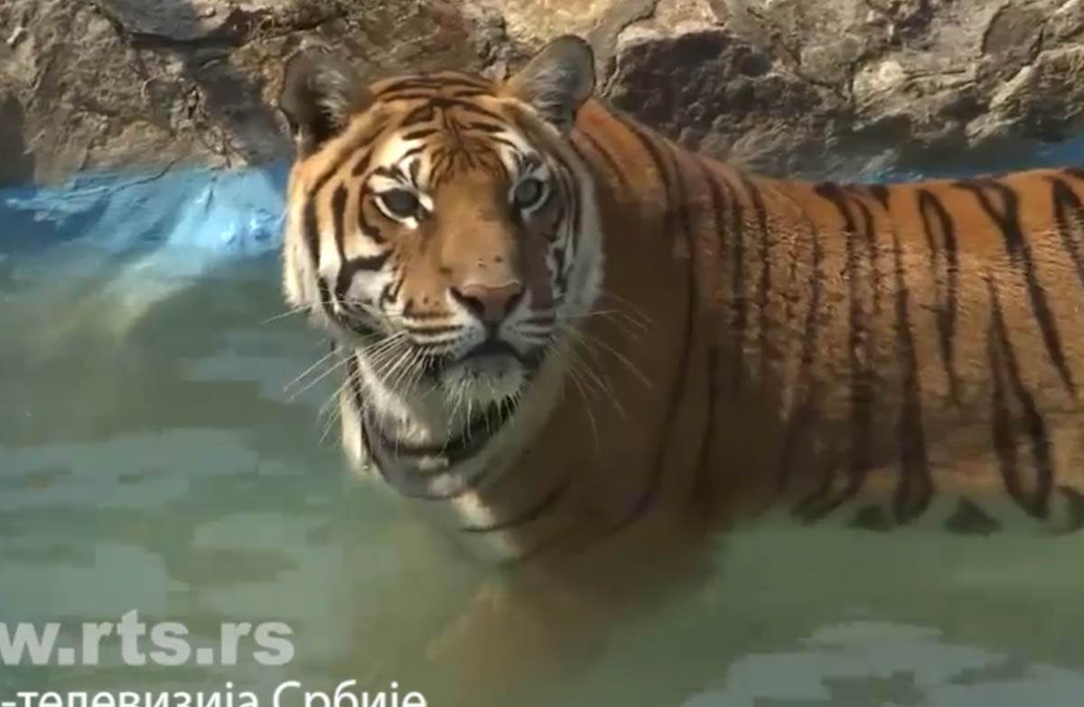 Screenshot 2024-07-18 172000.jpg