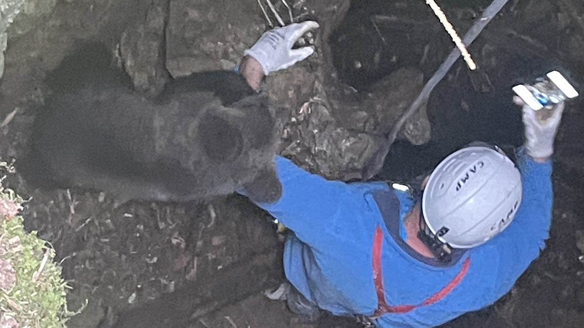 Mile spasio meče iz duboke jame (5).jpg