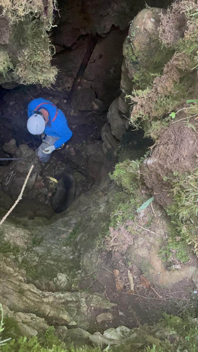 Mile spasio meče iz duboke jame (6).jpg