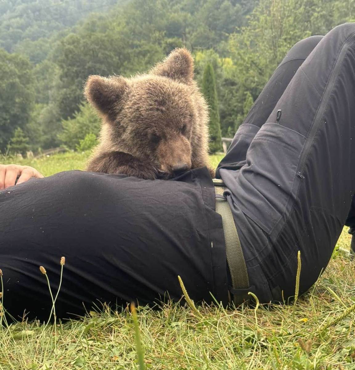 Mile spasio meče iz duboke jame (8).jpg