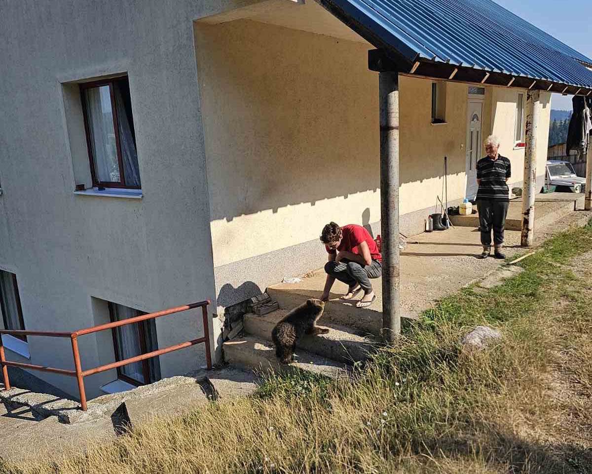 Mile spasio meče iz duboke jame (9).jpg