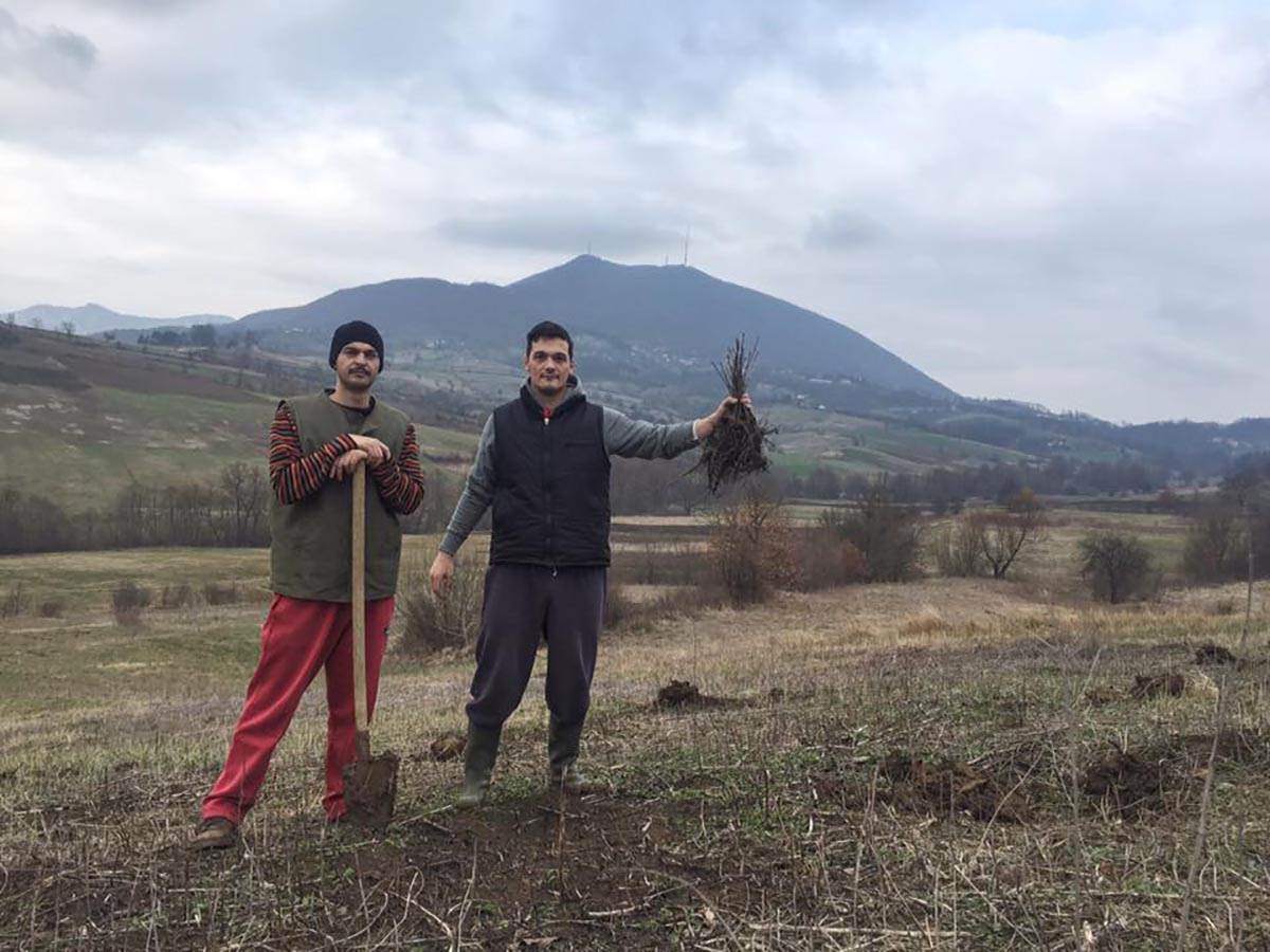 Šuma, Stefan Drljača (1).jpg