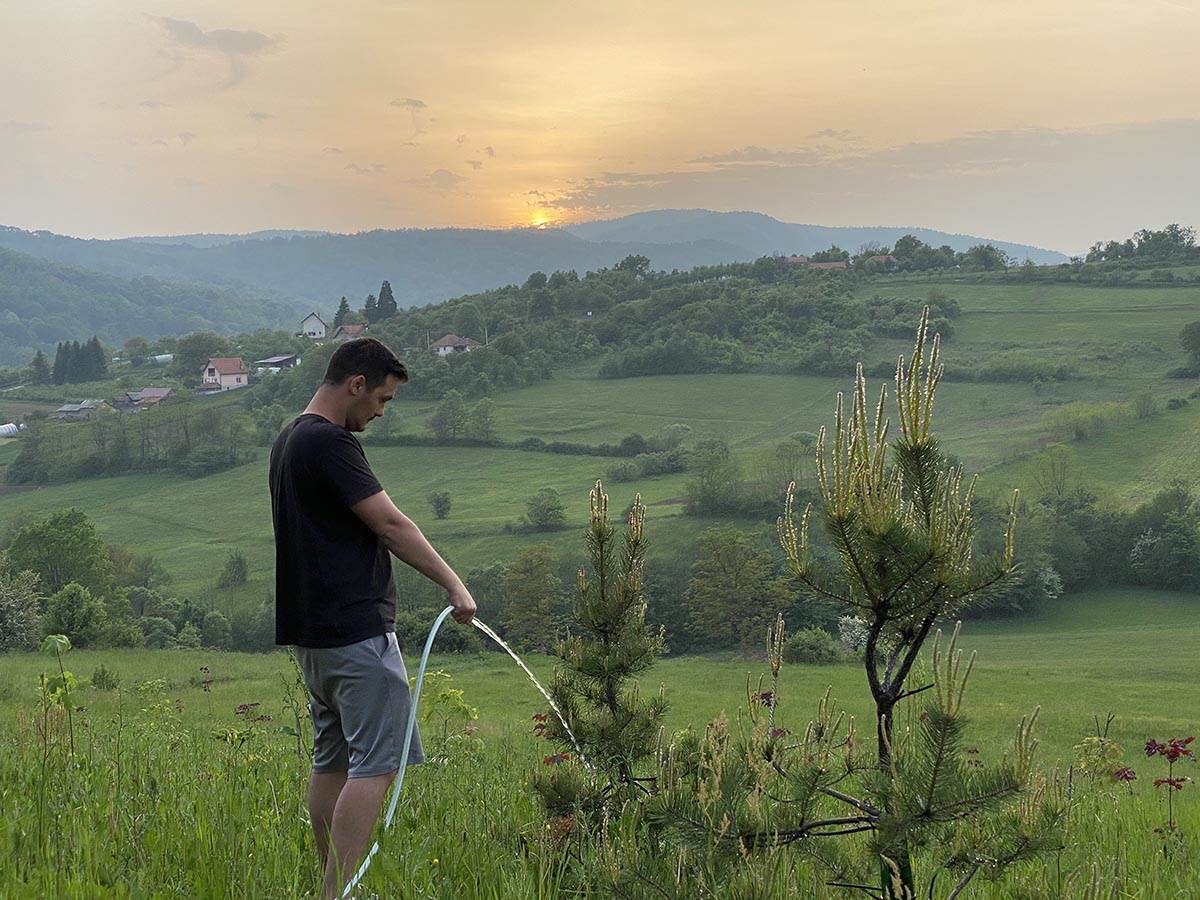 Šuma, Stefan Drljača (7).jpg