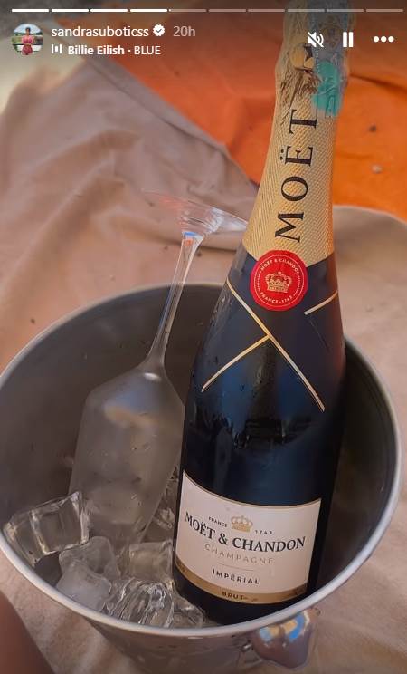 aleksandra subotić (2).png