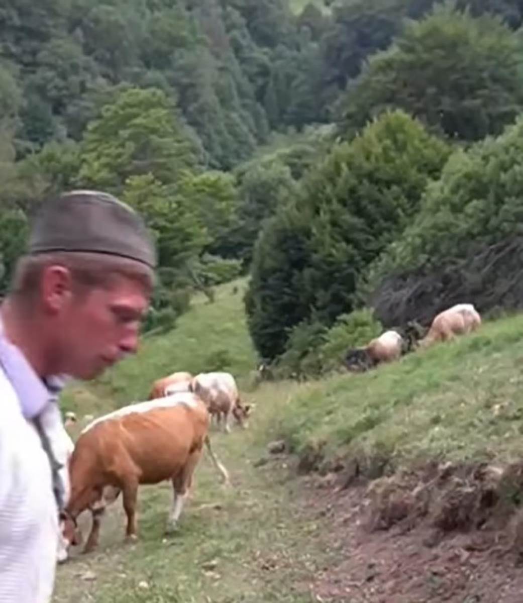 Screenshot_1 copy.jpg