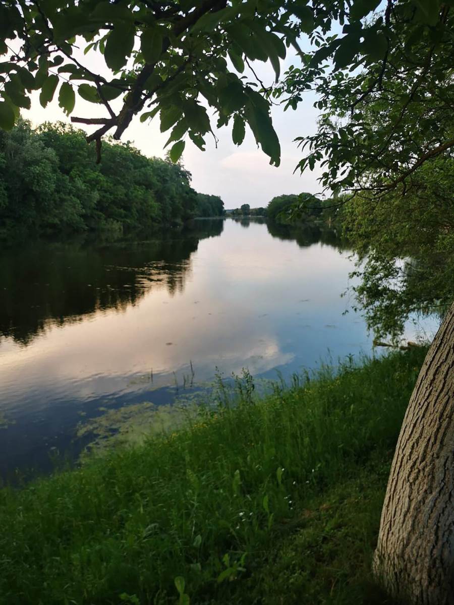 Kuća na prodaju (6).jpg