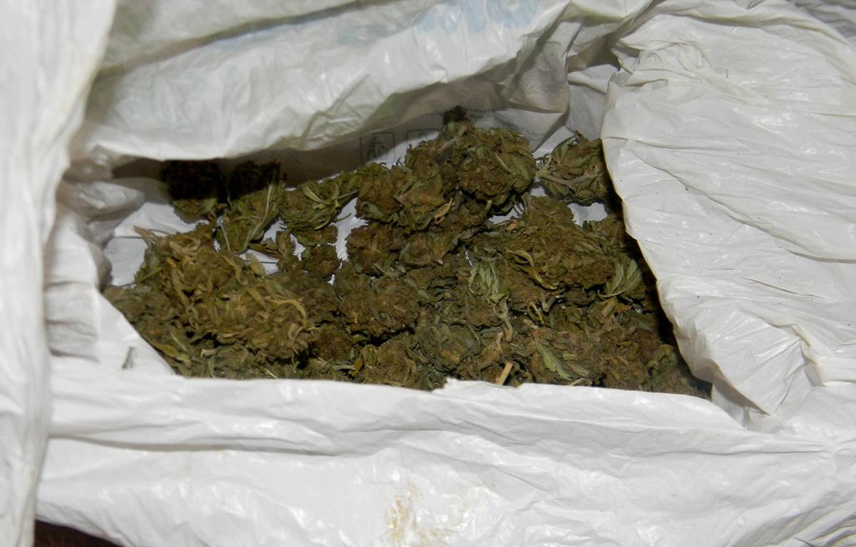 Zaplenjena marihuana i kanabisovo ulje-3.jpg