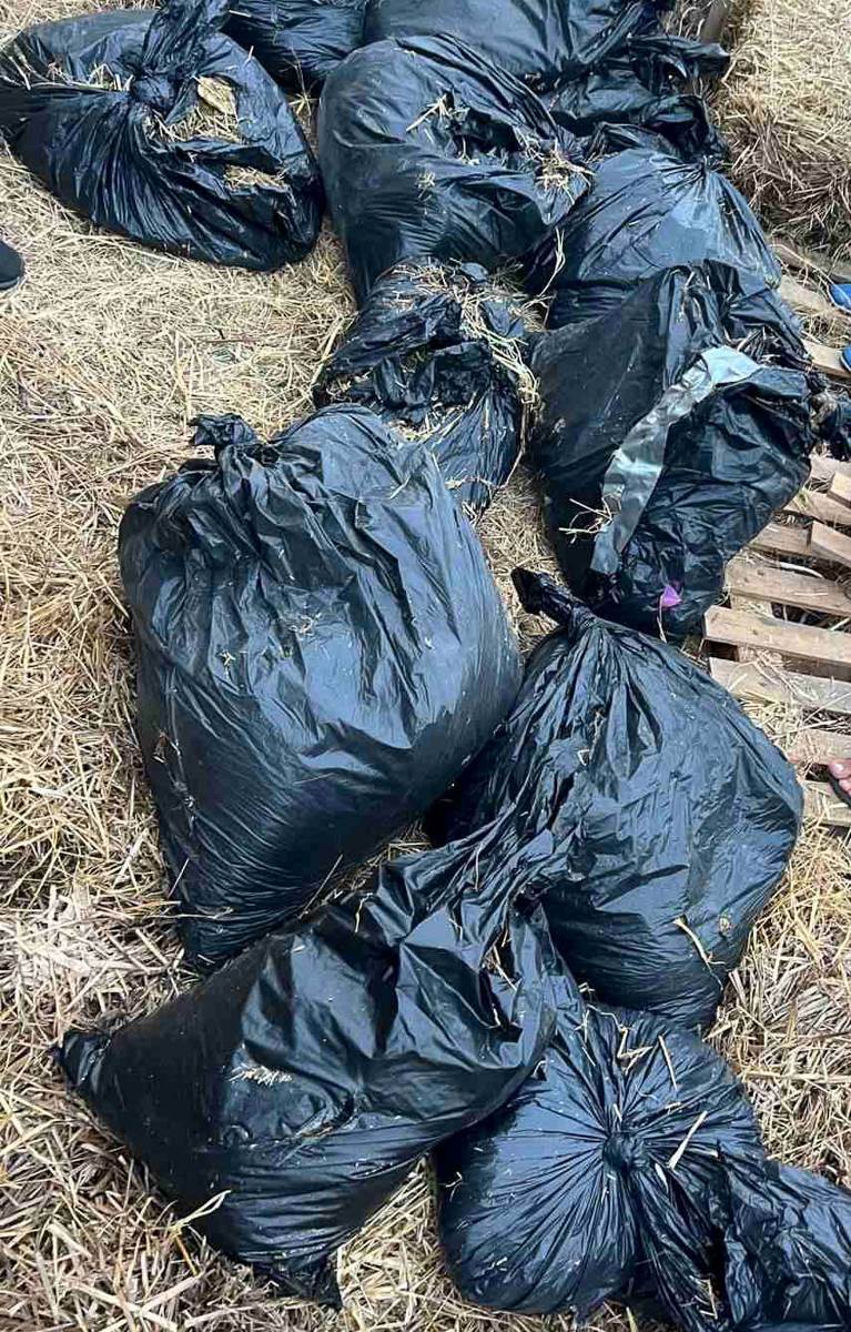 Zaplenjena marihuana i kanabisovo ulje-4.jpg