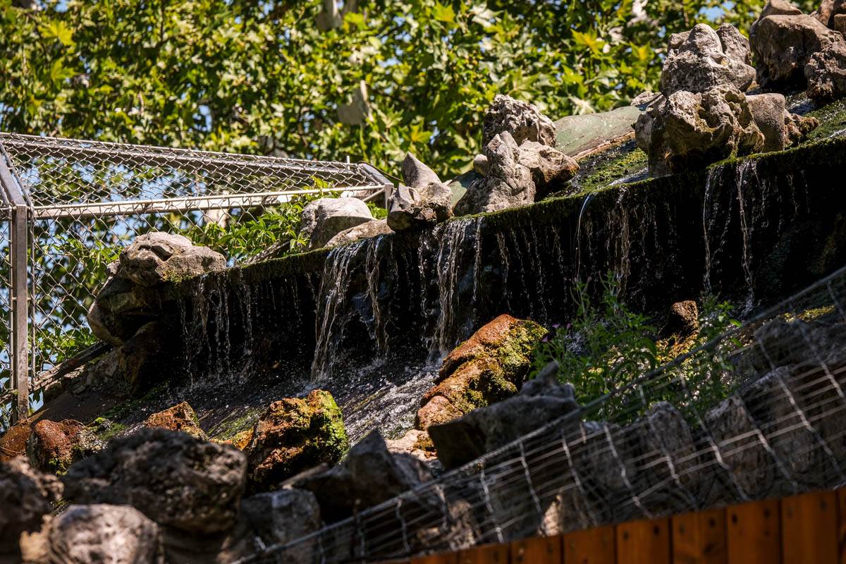 zoo_vrt_stefan_stojanović-1 (1).jpg