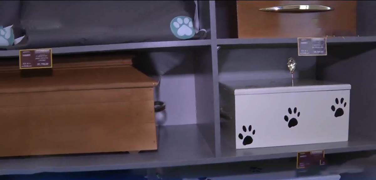 Groblje za ljubimce naziv (8).jpg