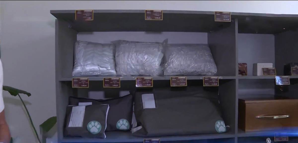 Groblje za ljubimce naziv (9).jpg