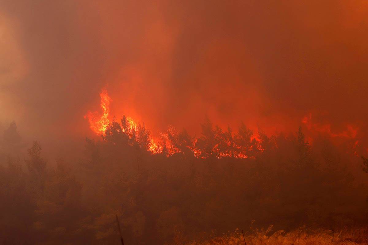 Požar Grčka (4).jpg