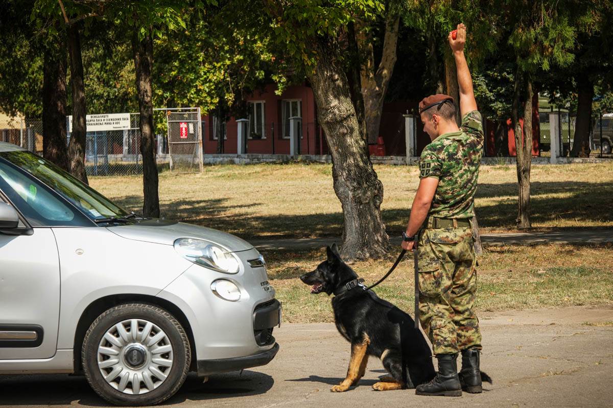 vojni_psi_vojska_srbije_stefan_stojanović-1 (8).jpg