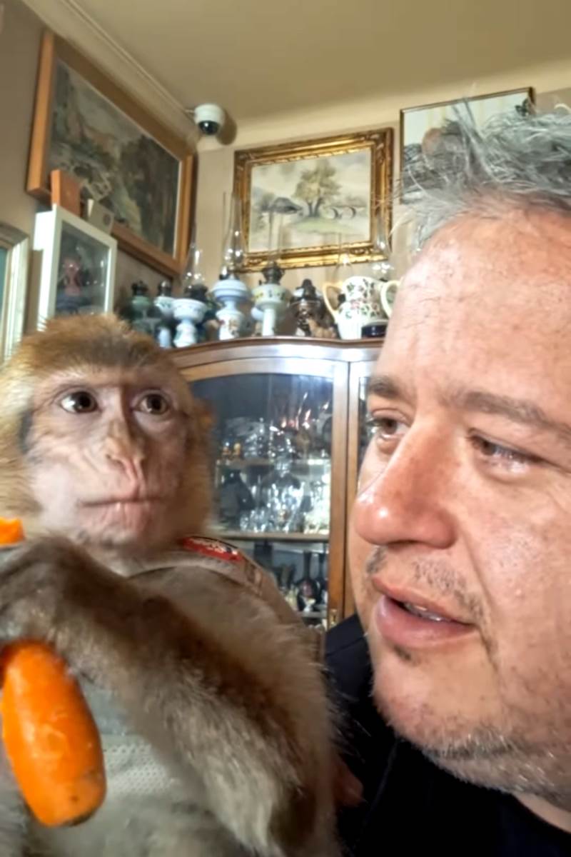 Nemanja Nikolić.jpg