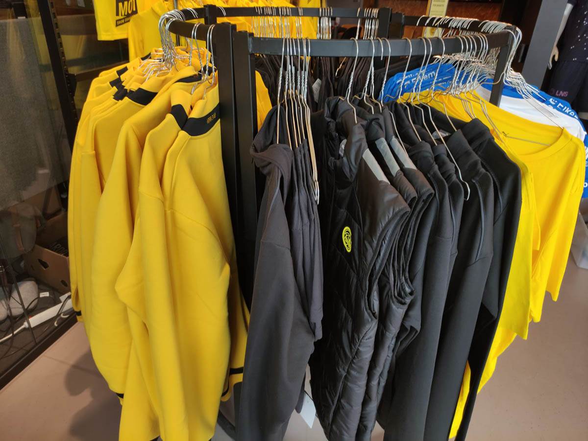 Vladan Milojević pred Crvena zvezda Bode Glimt