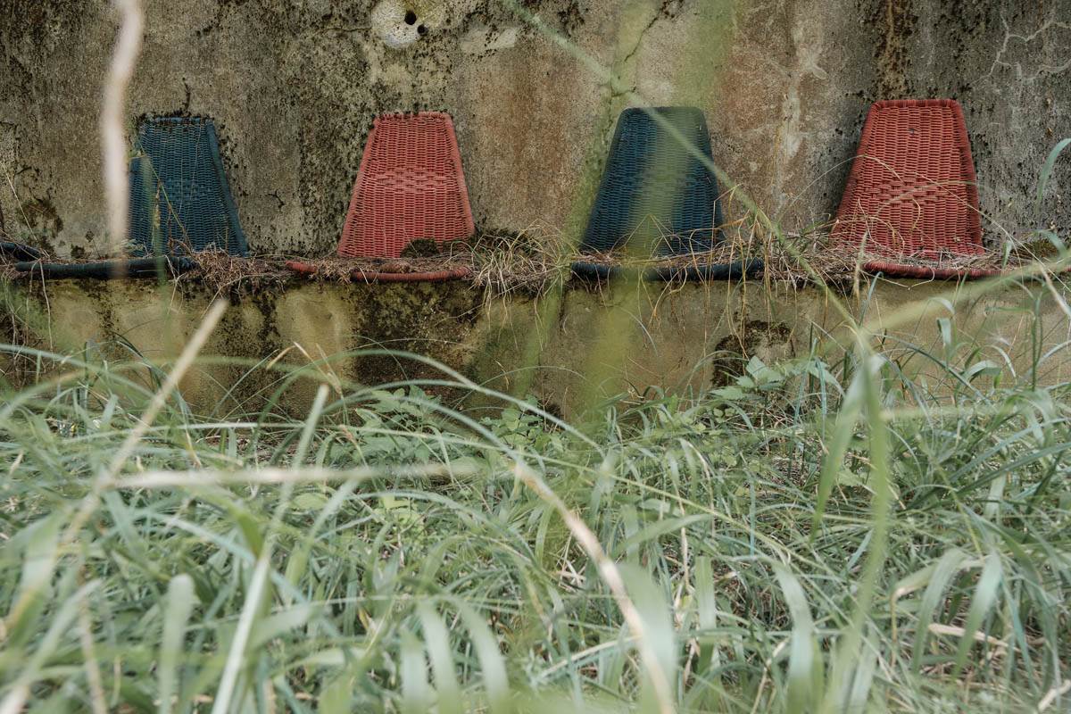 tošina_banja_stefan_stojanović_ (9).jpg