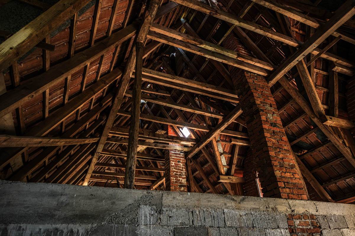 tošina_banja_stefan_stojanović_ (36).jpg