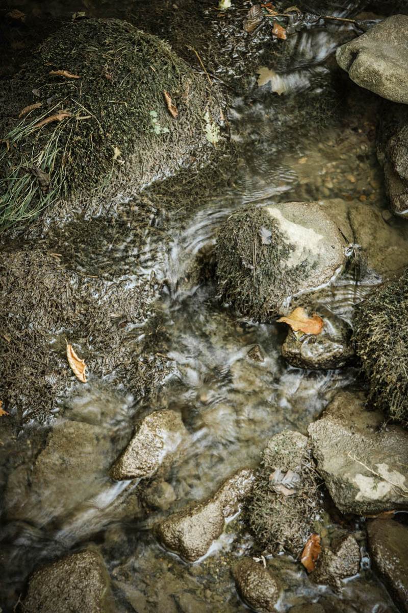 tošina_banja_stefan_stojanović_ (47).jpg