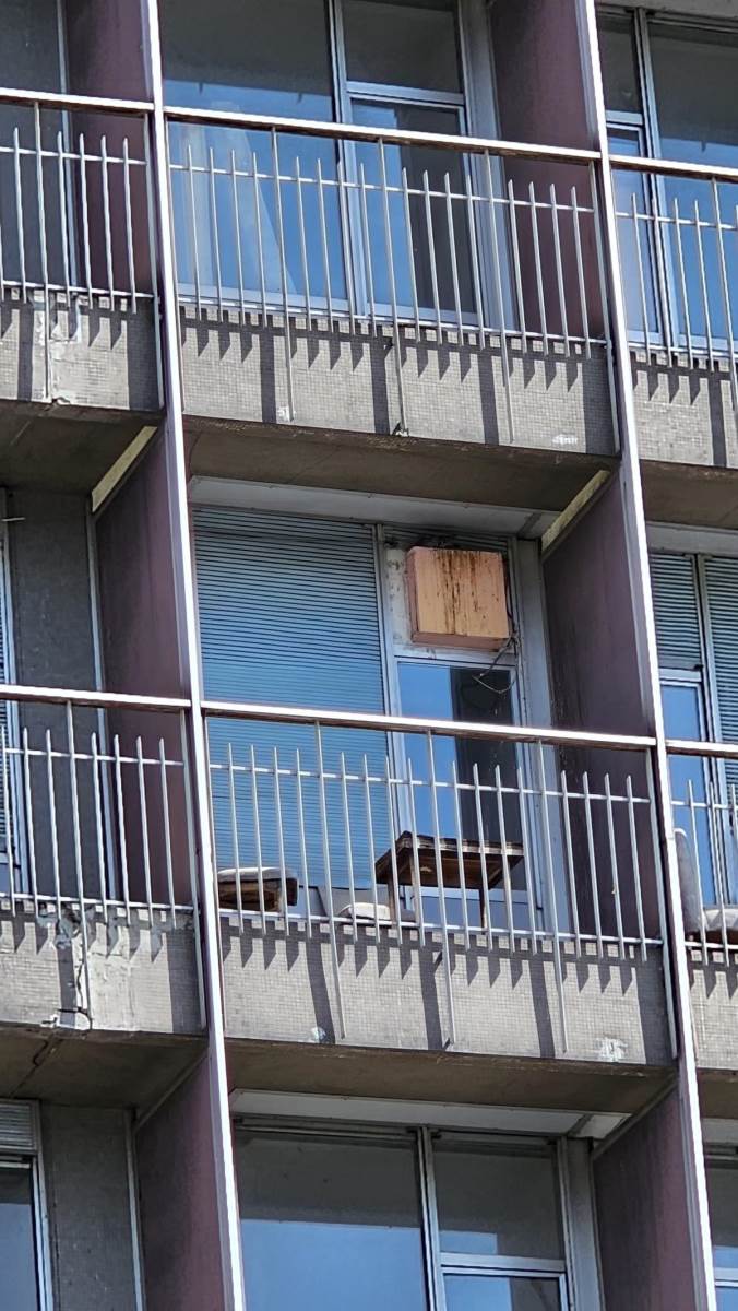 Hotel Jugoslavija (6).jpg