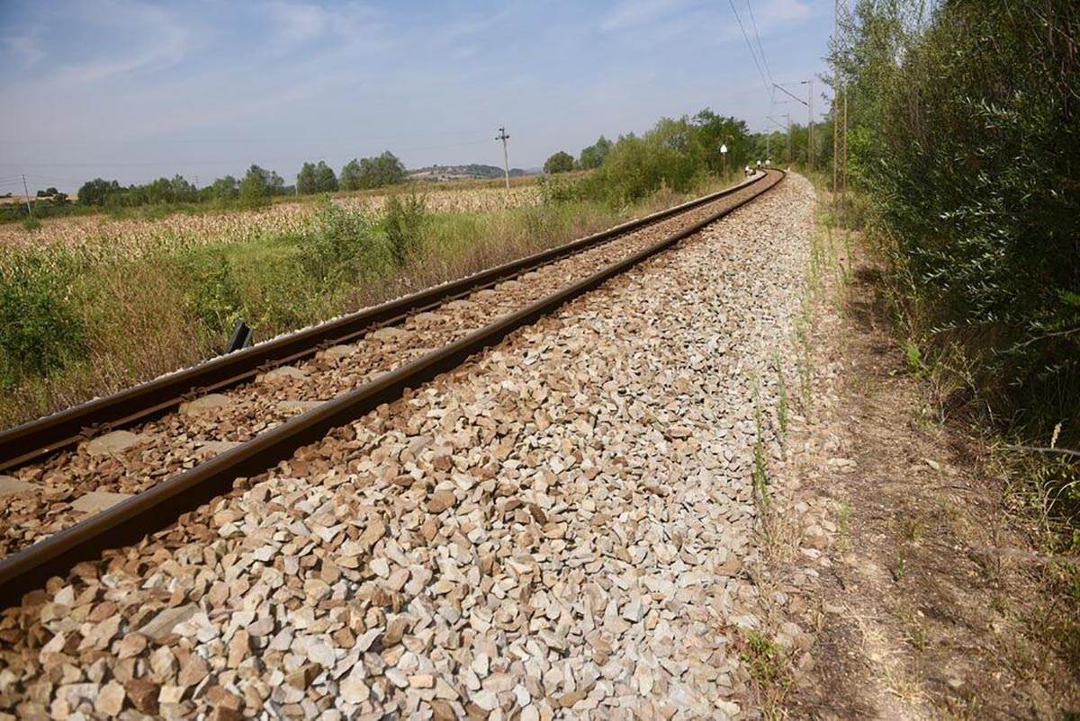 Luka Vuksanović (10).jpg