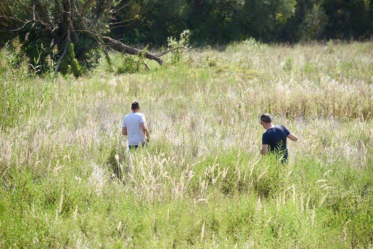 Luka Vuksanović (12).jpg