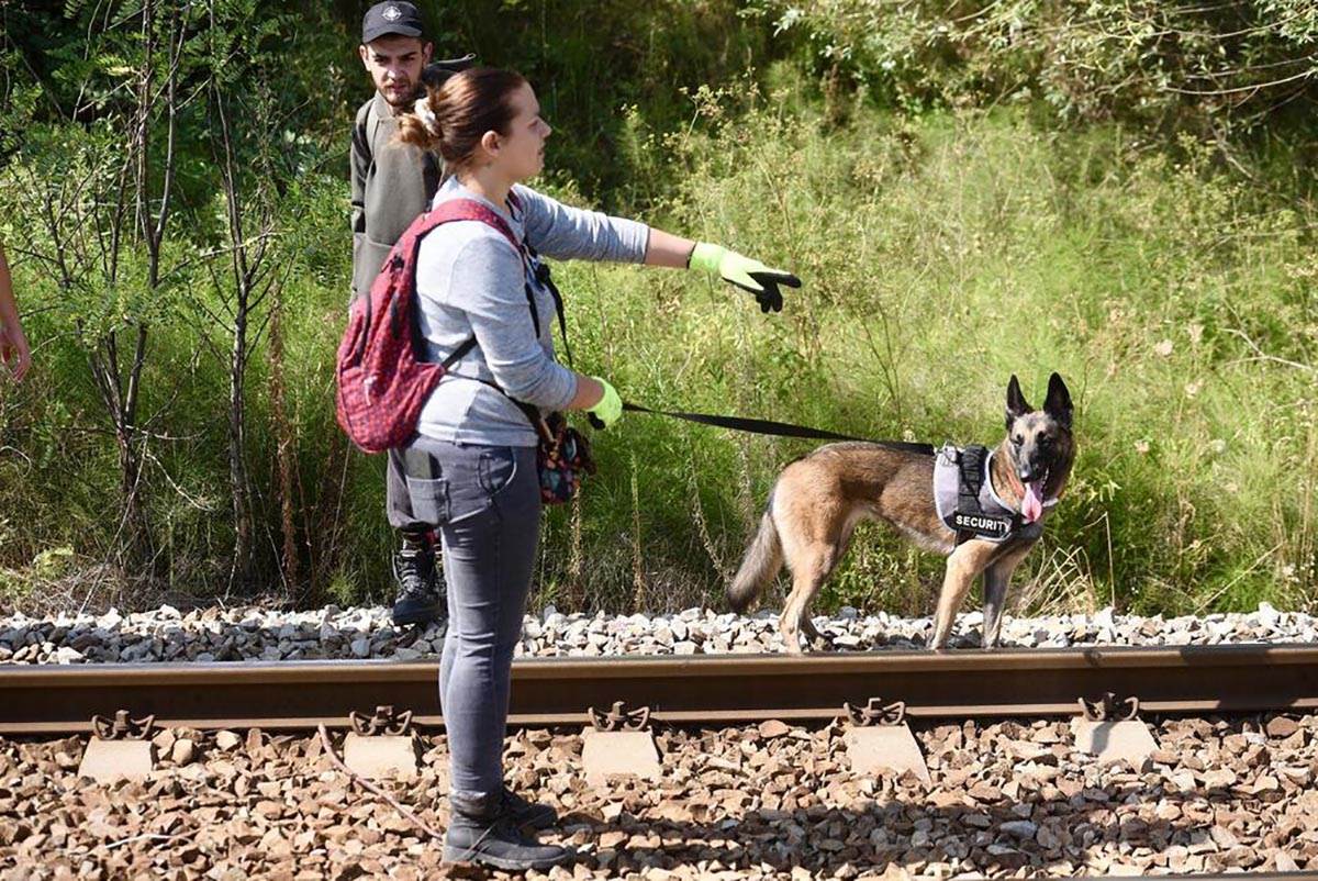 Luka Vuksanović (13).jpg