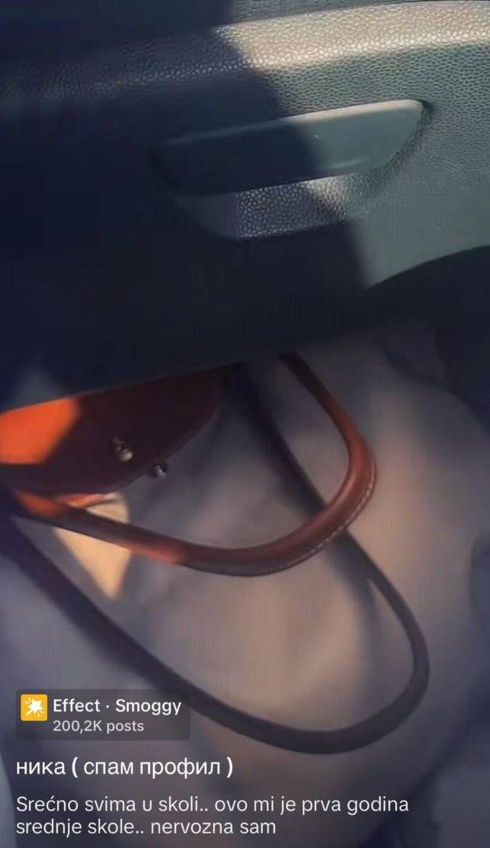 Ćerku Jelene Karleuše Niku napali u tržnom centru u Beogradu