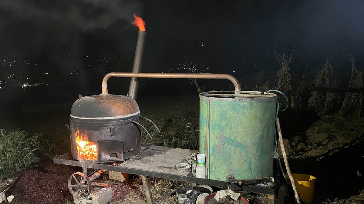 Stefan Pantelić (2).jpg