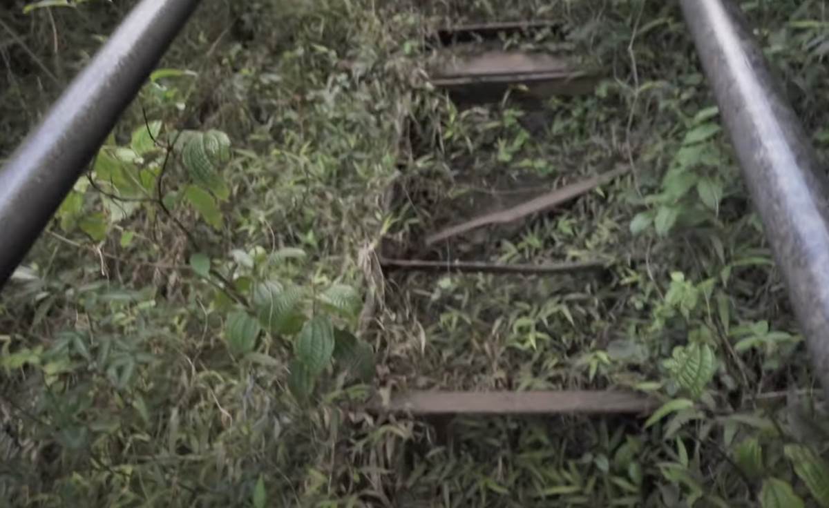 haiku stepenice na havajima 5.png