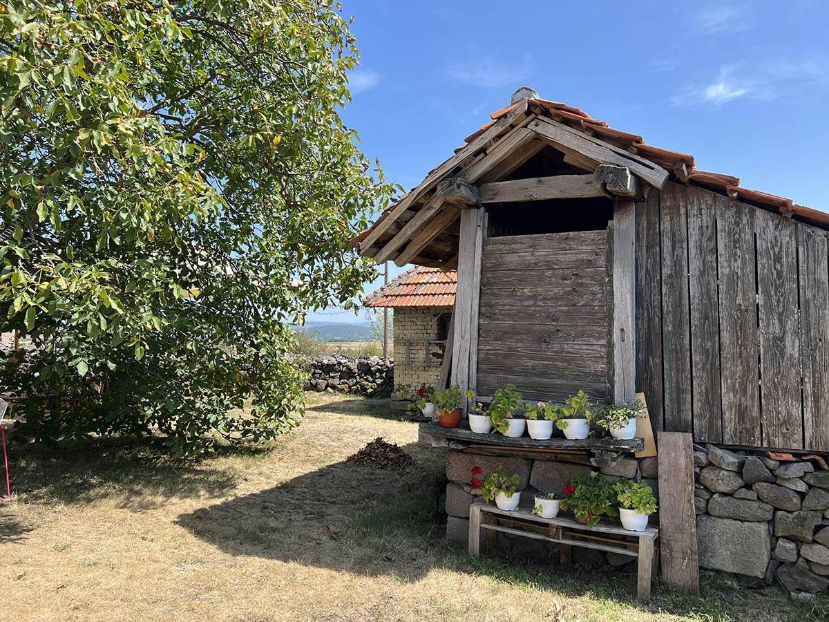 Kuća Vranića u selu Borač (5).jpg