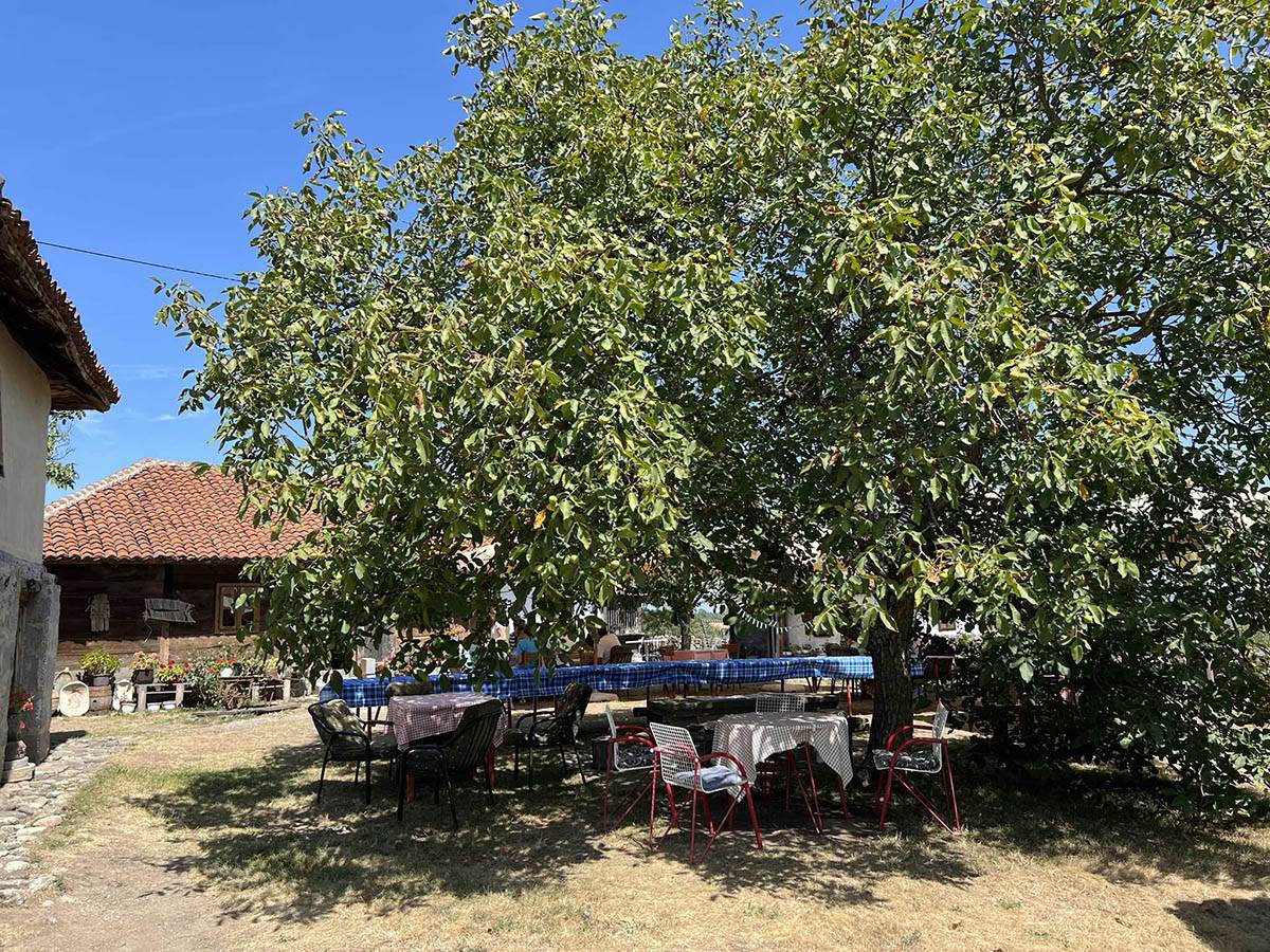 Kuća Vranića u selu Borač (6).jpg