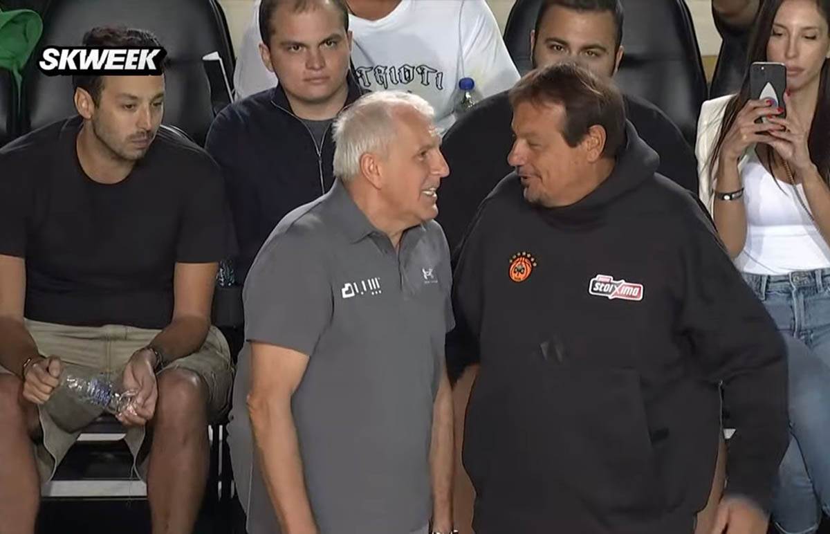 WhatsApp Image 2024-09-21 at 20.55.25.jpeg