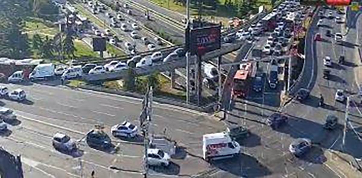 Jutarnji špic (5).jpg