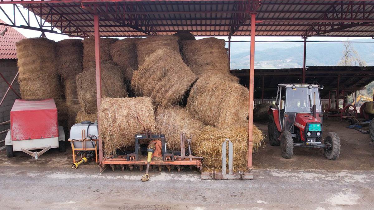 Porodica Đukić  (7).jpg