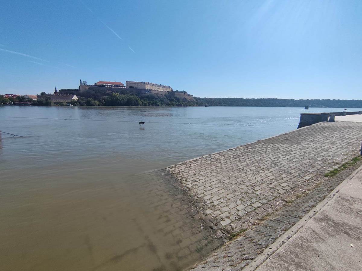 Nivo Dunava u Novom Sadu (7).jpg