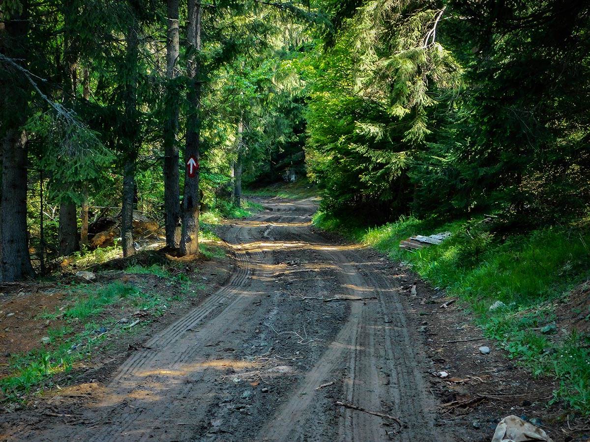 Planina Golija (1).jpg