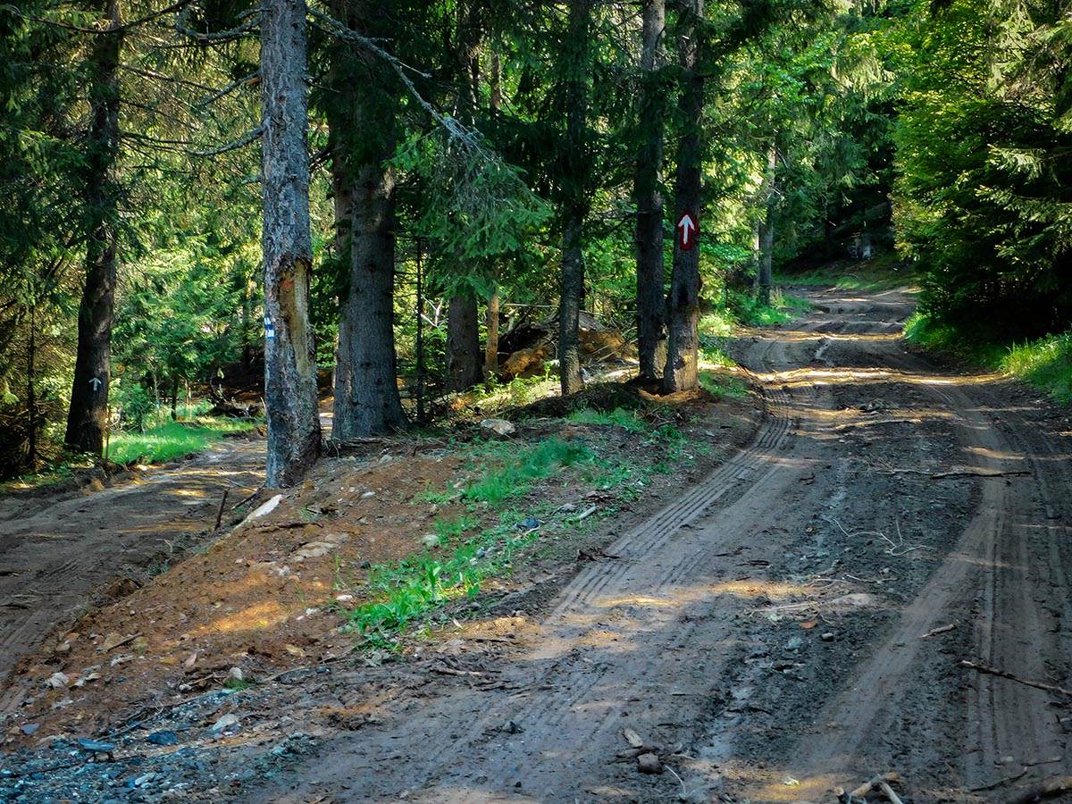 Planina Golija (4).jpg