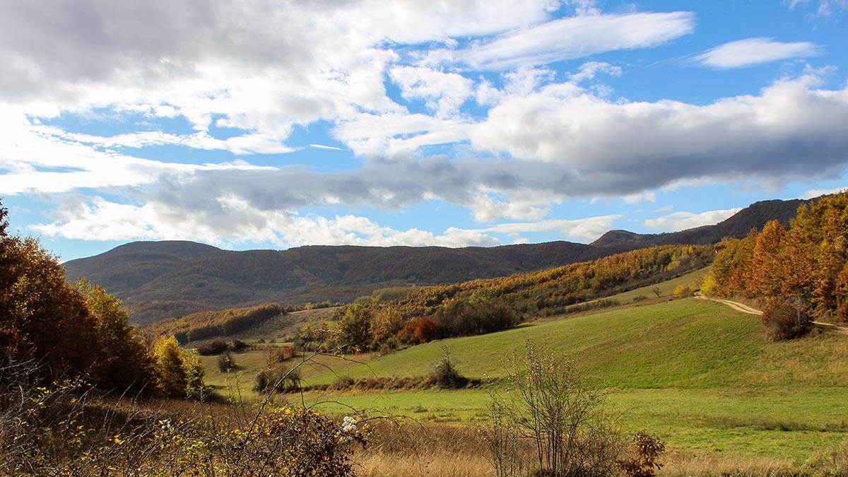 Planina Golija (5).jpg