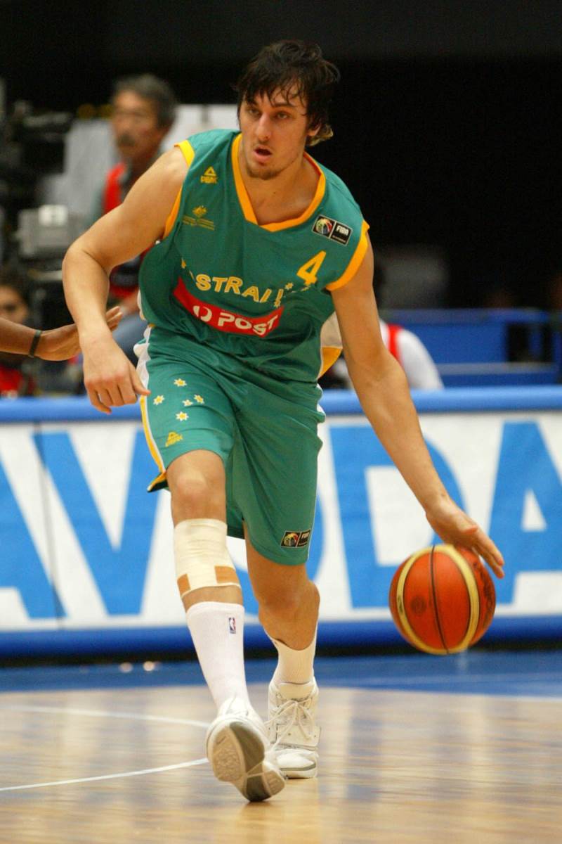 Andrew Bogut (1).jpg