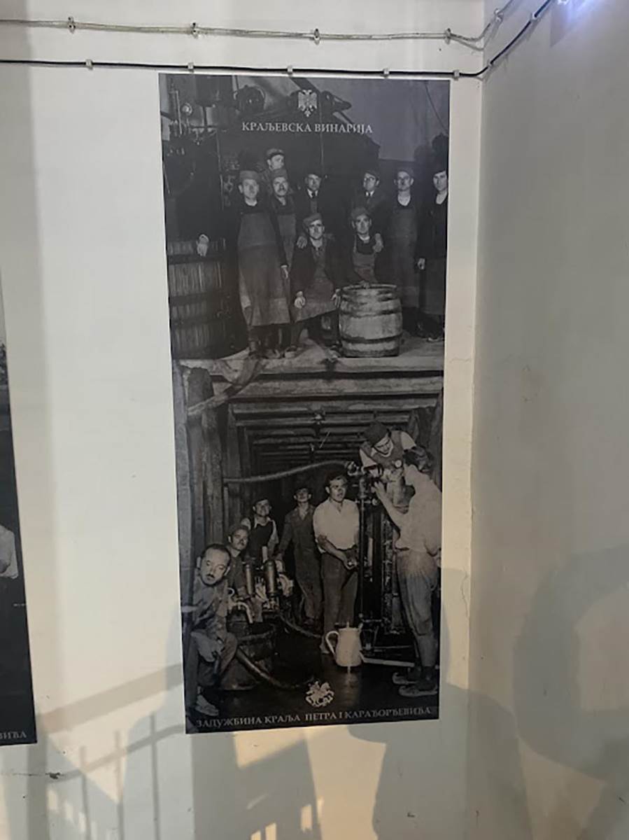 kraljeva vinarija (2).jpg